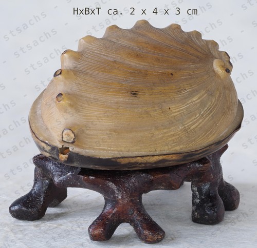 Netsuke awabi muschel - netsuke,