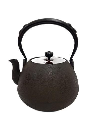 Japanischer nambu tekki - japanischer,