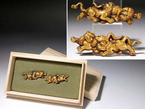 Golden tiger tora 46mm large - tiger,